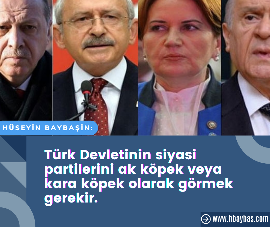 TÜRK DEVLETİNİN SİYASİ PARTİLERİNİ AK KÖPEK VEYA KARA KÖPEK OLARAK GÖRMEK GEREKİR